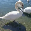 aimz_20