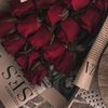 msafnan_