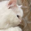 Dita & Jojo | Pretty Boy