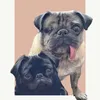 reggie_and_olive