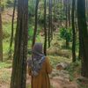 fifit_lailia