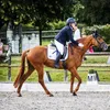 katakia94