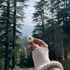 aesthetic_gurl557