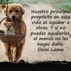 brandonrs_21