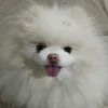 dumbiayla