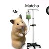 matcha🍵