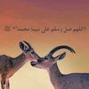 مسفربن مرعي البهيشي 𓅓.