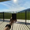 the_little_y