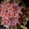 lilies.roseee