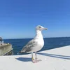 vitalii_kh23