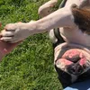 zeusthegodsofdogs