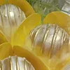 lalinhalimasilva