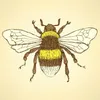 beeyou0410