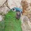 estebandido_h