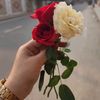 sulthan646