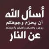 omarhesham8742