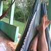 gizellividal