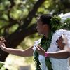 pulelehua1