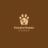 exclusivepuppieshome