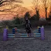 elliebea13