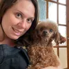 strudelthepoodleandco