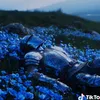 thomasg_bb