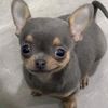 josue822x
