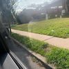 nicoll_630