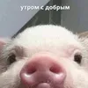 eternainfano