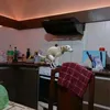 carloscharly33