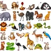 samir_1711