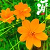 user521771595