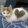 jana_fanclub