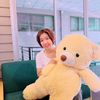 jariya_numai_30