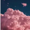 .self.isolation.tip.s