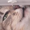biscuitsandgravy71