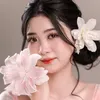 honghoi_006