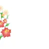 user00289354
