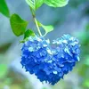 husam..ka1
