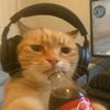 sssine1h