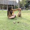 chayapha_29