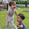 farha6776