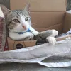 baoanhhcm