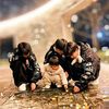 kim_young1553