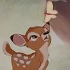 fluttycore