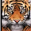 kyohei88_tiger