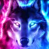 lily_govana