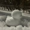 iopppudbs