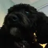 ellalalalalala9