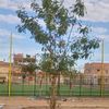 abdelhaka92